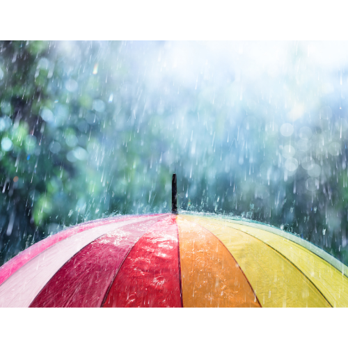 Rain and an umbrella